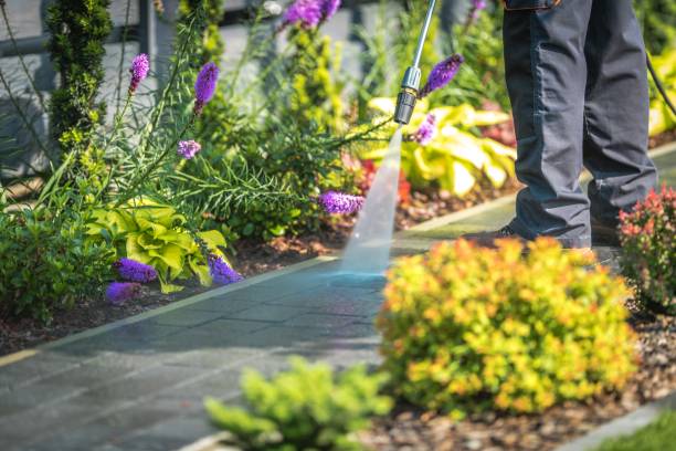 Trusted Solvay, NY Pressure Washing Experts